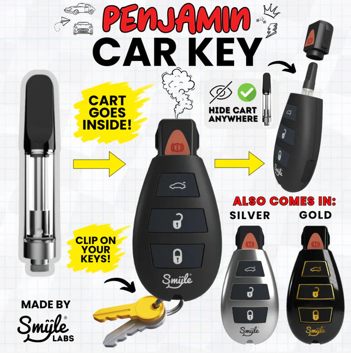 SMYLE LABS | CAR KEY BATERIA OCULTA