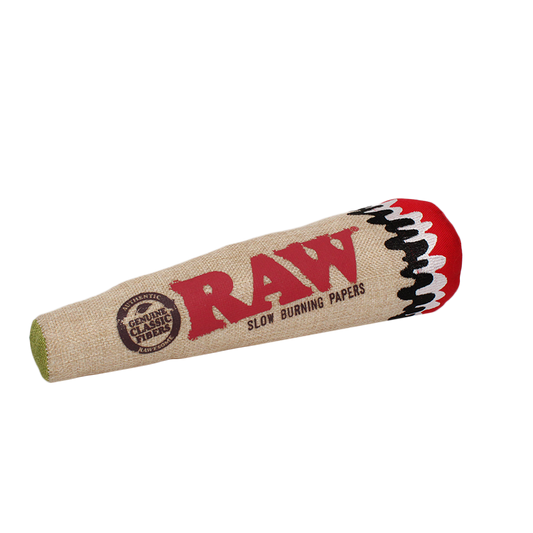 RAW | Squeaky Cone Dog Toy